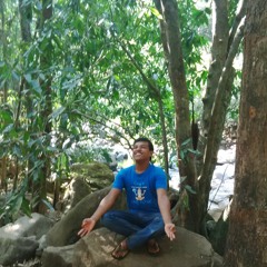 Rutin Paul