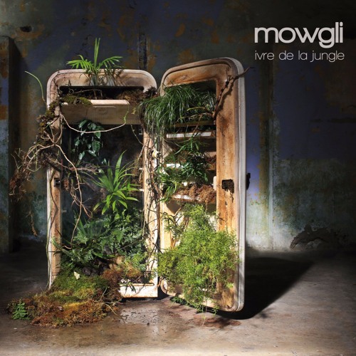 mowgli music’s avatar