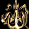 badr ranoosh