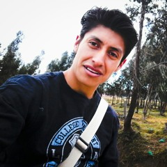 N3ls0n