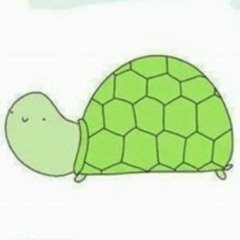 TinyThe Turtle