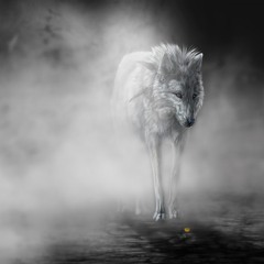 Niebla Lobo Studio (fog wolf studios)