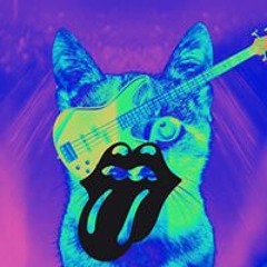 Jinx Bass PL
