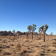 Genevieve Bourke Landry