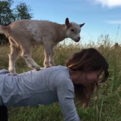 Aytrak's love making playlist supreme