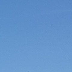 T3MPO