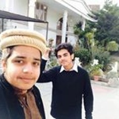 saifi