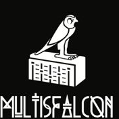 Multis Falcon’s avatar