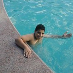 محمود الإمام