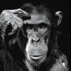 Psyence of the Apes (CATAR records)