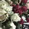 user481431601