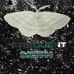 Frequentmoth