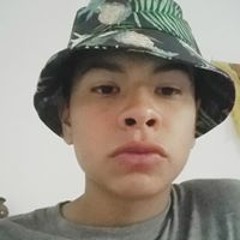 Dreefer