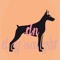 Dog Naught