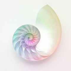orgoneharmony