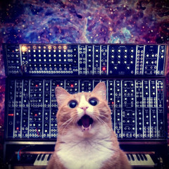 Synth Kitty