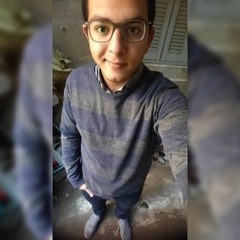 Mohammed Abd Elaleem 1