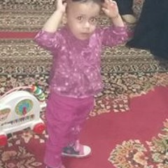 Ahmed Aboelata