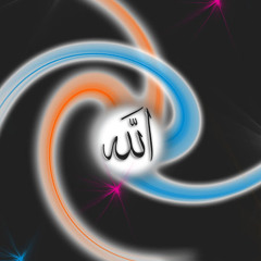 Zerd Wassim