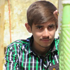 Hamza Naveed