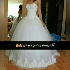 بسكوته كيوته