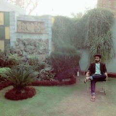 Anns javed