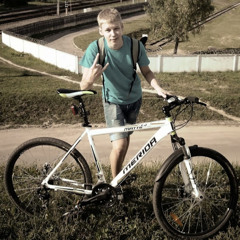 антон топырик