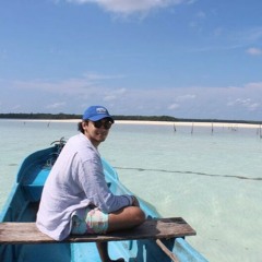 Sebastien Vandenheste