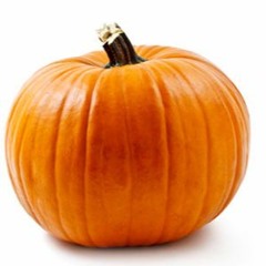 Pumpa