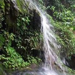 ကို စည္ သူ