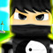 Shinobi_ BR