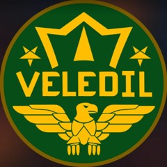 Veledil