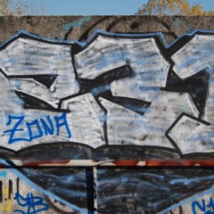 zona231