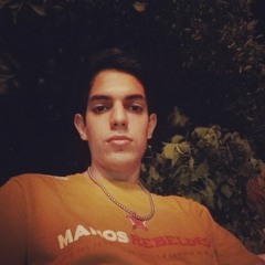 Luis Pauletto Sosa