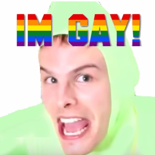 i am gay meme song