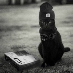 Mad Cat