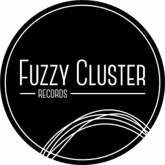 Fuzzy Cluster Records
