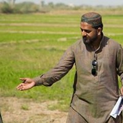 Yasir Shabbir