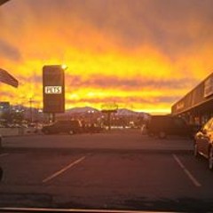 DreamTrapperzEntertainment