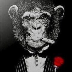 monkeydaddy