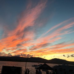 A Different Kind of Stupid