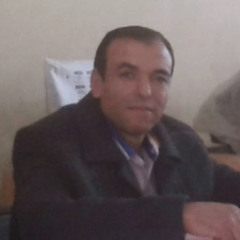 سيد شاهين