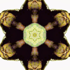 Cruelfx