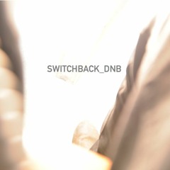 SWITCHBACK_DNB