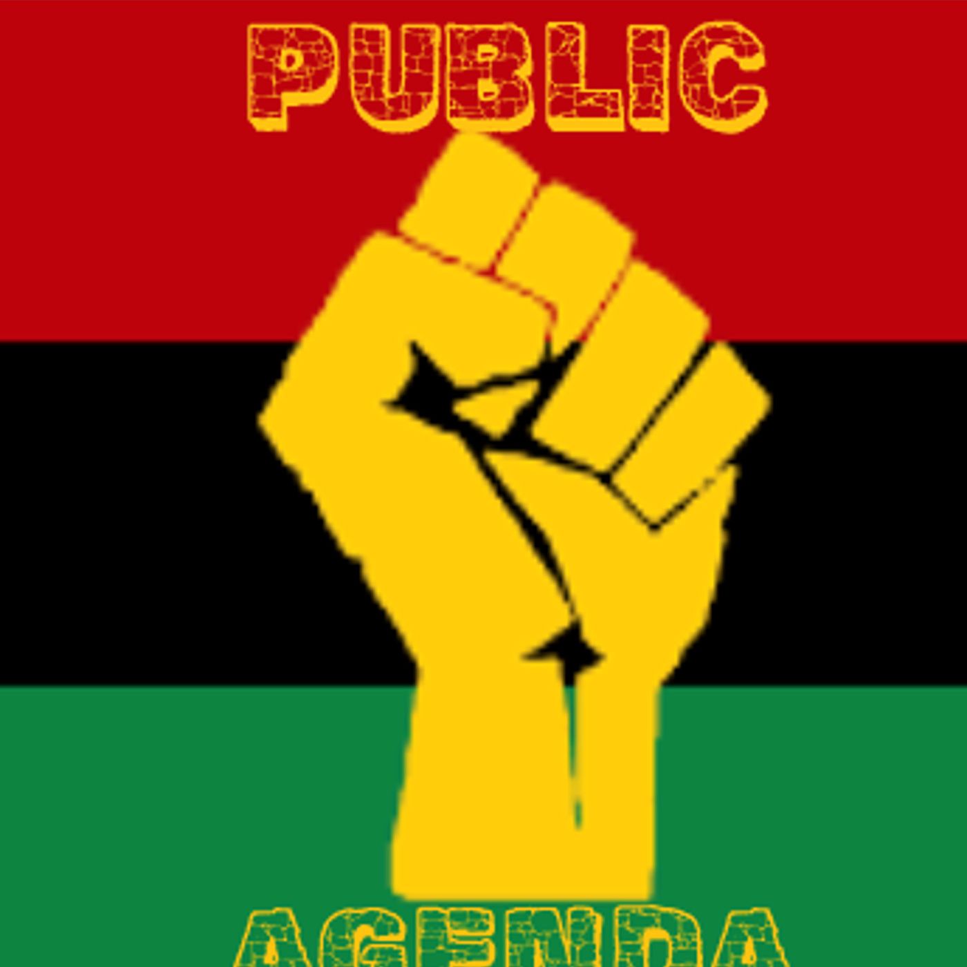 Public Agenda podcast artwork