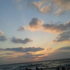 Amal Galal