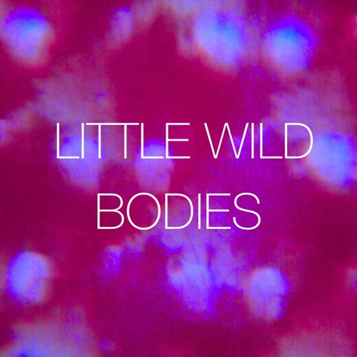Little Wild’s avatar
