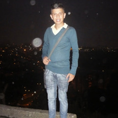 Gustavo Toro N