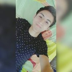 Hans Palma Flores