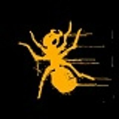 cdbusse44